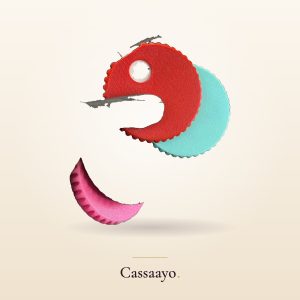 Cassaayo Sex Wheel, For Couples