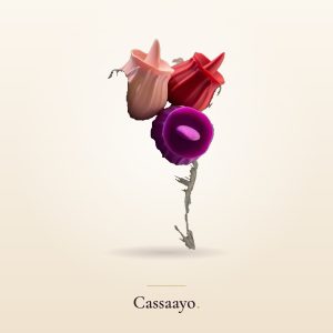 Cassaayo Rose Licker, For Her
