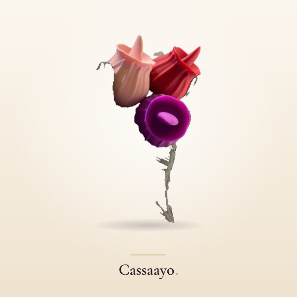 Rose Licker Cassaayo Rose Licker, For Her