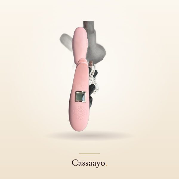 Cassaayo Digital Rabbit, For Her